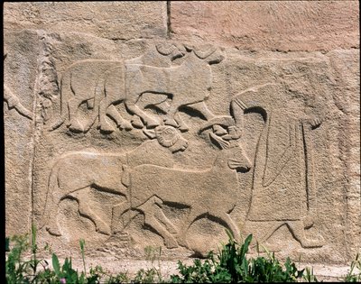 Vue de la base des reliefs de la Porte du Sphinx - Hittite Hittite
