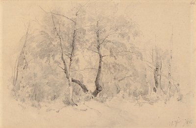 Bosquet de bouleaux - Hjalmar Munsterhjelm