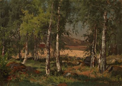Paysage avec bosquet de bouleaux et champ de seigle - Hjalmar Munsterhjelm