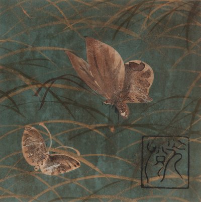 Papillons et herbes, période Edo, début du 17e siècle - Hon