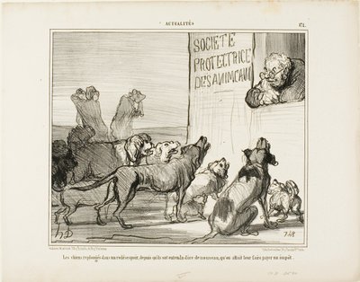 Les chiens se désespèrent à nouveau après avoir appris qu