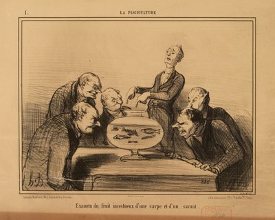 La Pisciculture n° 1 : Examen du fruit incestueux d’une carpe et d’un savant. - Honoré Daumier