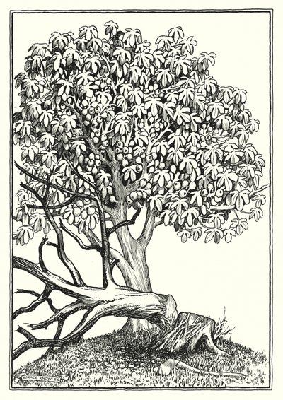 Illustration du Sermon sur la montagne (gravure) - Horace J. Knowles