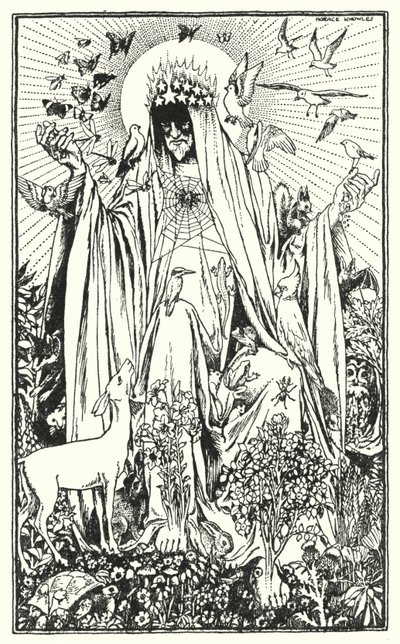 Rouge-gorge (litho) - Horace J. Knowles