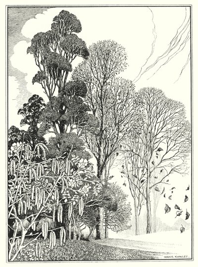 Les mois (litho) - Horace J. Knowles