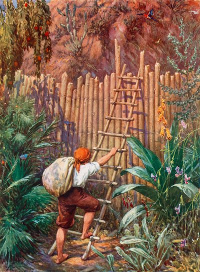 Illustration pour Robinson Crusoé - Howard Davie