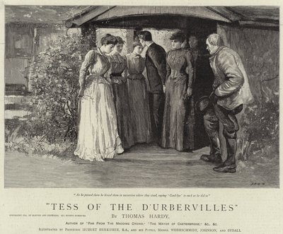 Tess d