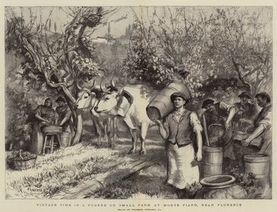 Temps des vendanges dans un podere ou petite ferme à Monte Fiano, près de Florence - Hubert von Herkomer