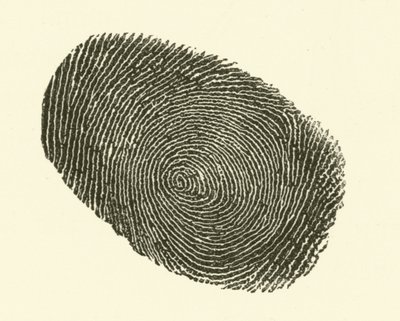 Empreinte digitale - Hugh Rowley