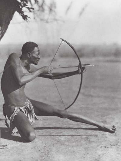 Afrique : Archer Djur oriental - Hugo Adolf Bernatzik
