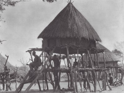 Afrique : Habitations sur pilotis du Djur oriental - Hugo Adolf Bernatzik