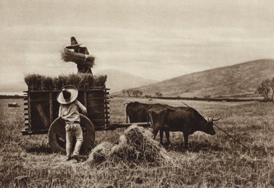 Mexique : agriculteurs récoltant du blé (photo n/b) - Hugo Brehme