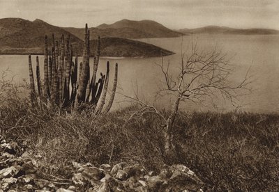 Mexique : près de la côte de Baja California (photo n/b) - Hugo Brehme