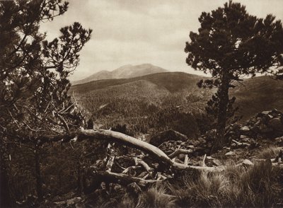 Mexique : El Ajusco, vu de San Miguel (photo n/b) - Hugo Brehme