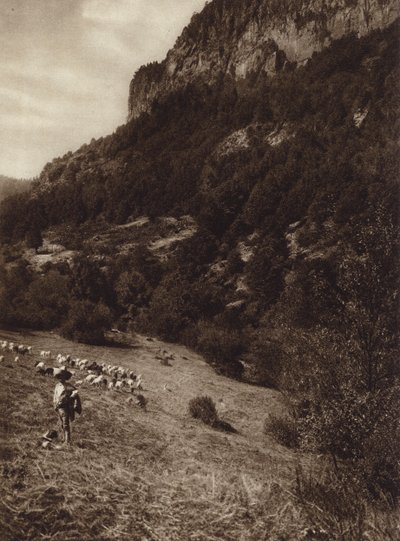 Mexique : La Canada, Contreras, D F (photo n/b) - Hugo Brehme