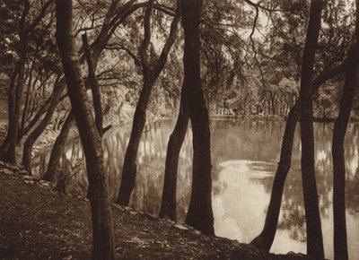 Mexique : Las fuentes de Tlalpam D F (photo n/b) - Hugo Brehme