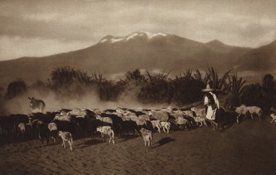 Mexique : les environs d