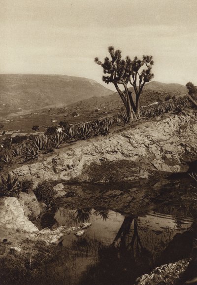 Mexique : les environs de Toluca (photo n/b) - Hugo Brehme
