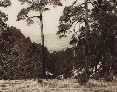 Mexique : panorama sauvage au pied du Pico de Orizaba (photo n/b) - Hugo Brehme