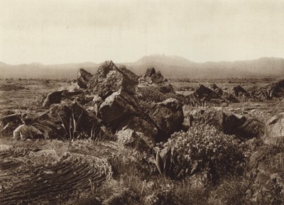 Mexique : Pedregal, Corriente de basalto-lava près de San Angel (photo n/b) - Hugo Brehme