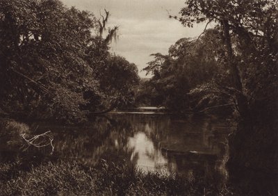 Mexique : Tamasopo, Panorama del rio, Etat de Vera Cruz (photo n/b) - Hugo Brehme