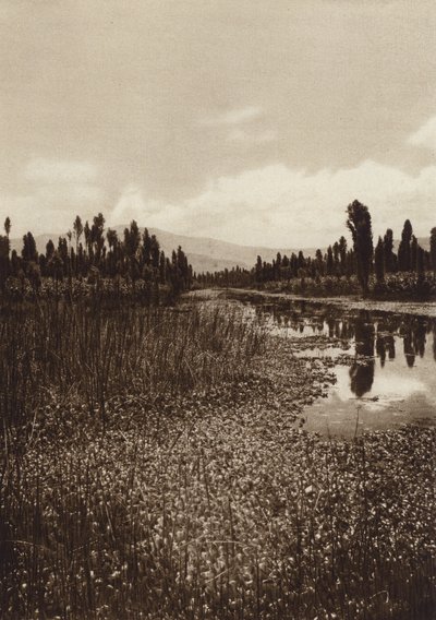Mexique : Xochimilco, l