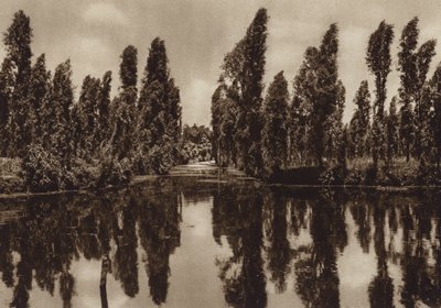 Mexique : Xochimilco avec les "jardins flottants" (photo n/b) - Hugo Brehme