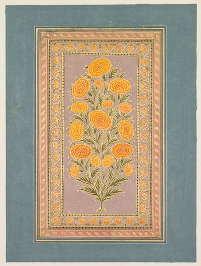 Souci en fleur, vers 1765 - Hunhar II