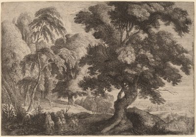 Paysage avec deux cerfs - Ignatius van der Stock