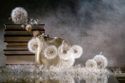  - Igor Kopcev