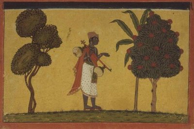 47.19/134 Madhavanala avec une vigne dans la forêt d