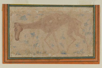 Un cheval émacié, de Mughal ou Deccan, milieu XVIIe siècle - Indian School