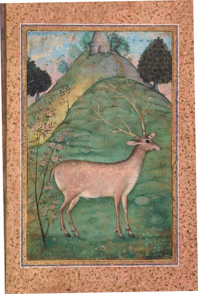 Cerf dans un paysage, c.1595 - Indian School