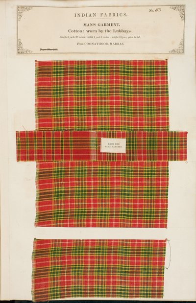 Échantillon de coton de Coonathoor à Madras, de The Collection of the Textile Manufacturers of India, par John Forbes Watson, publié en 1866 - Indian School