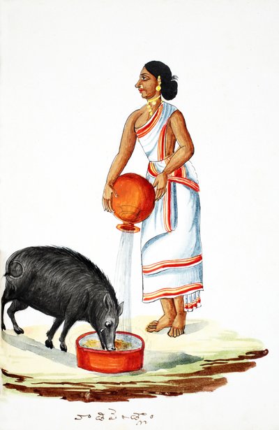 Nourrir un cochon sauvage - Indian School