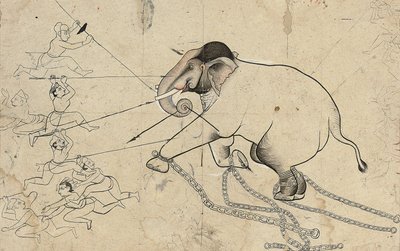 Isarda ou kotah dessin préparatoire du dressage d