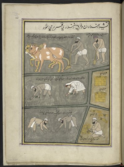 Labourer; creuser; transplanter du riz; récolter, 86 dessins reliés en un volume représentant des métiers et occupations au Cachemire, des artisans montrés au travail avec leurs outils et équipements, par un artiste du Cachemire, probablement à Srinagar, c - Indian School