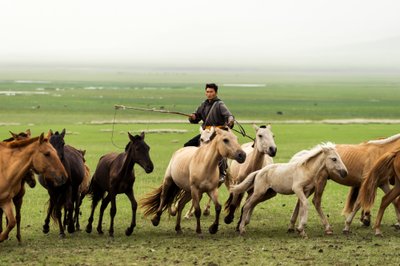 Famille locale rassemblant leurs chevaux dans la réserve naturelle de Gun-Galuut - Ira Block