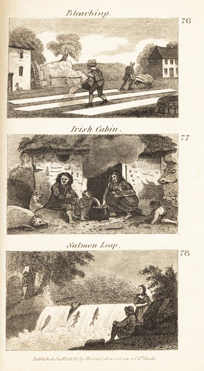 Métiers en Irlande de la Régence : blanchiment, cabane irlandaise et saut de saumon - Isaac Taylor