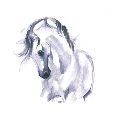 Étude de cheval en mouvement - Isabelle Brent
