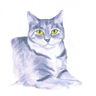 Chat observateur - Isabelle Brent