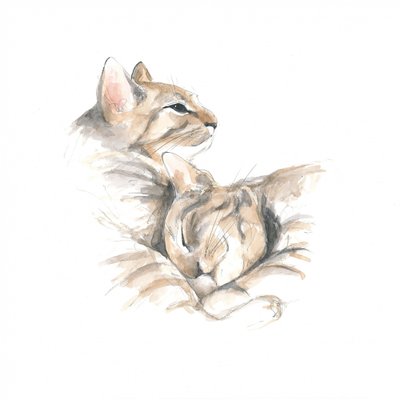 Chats détendus - Isabelle Brent