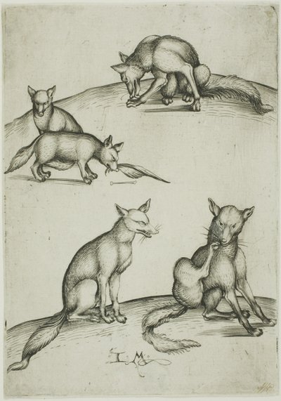 Les cinq renards - Israhel van Meckenem the younger
