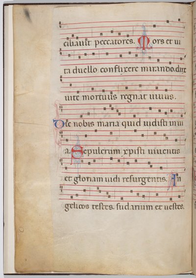 Feuille 6 d