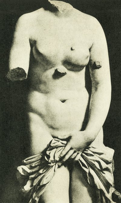 Musée, La Vénus syracusaine, IIIe siècle av. J.-C. Credesis (photo n/b) - Italian Photographer