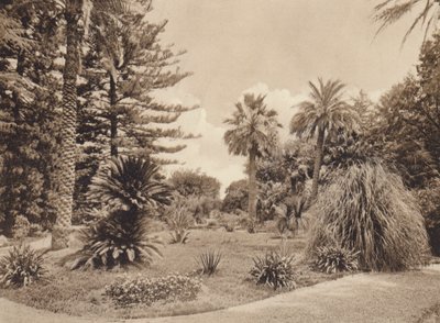 Sicile / Sicile : Villa Tasca, Palermo (photo n/b) - Italian Photographer