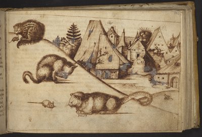 Chats attrapant des souris (