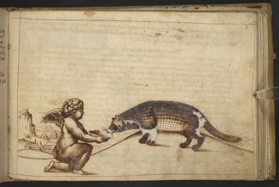Chérubin et une créature, de Historia Animalium - Italian School