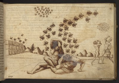 Add. 82955, f.60 Abeilles (