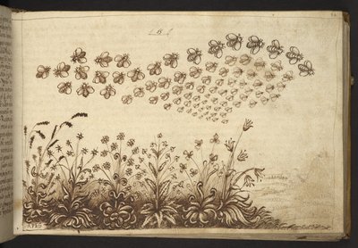 Abeilles (